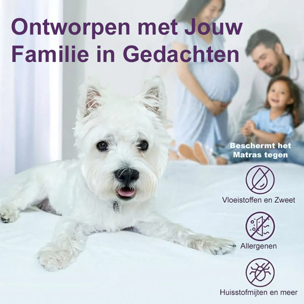 CLOUDREAM-3831127613059-NL-5__311225
