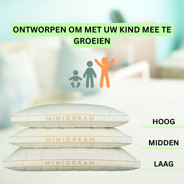 MINIDREAM